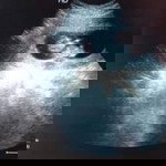 Nancy MakBanwai profile icon