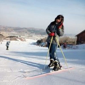 Monica Noviyanti profile icon