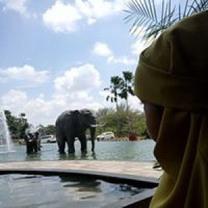 Putri Myqha profile icon