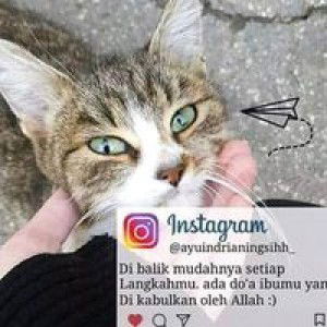 Qusnul Qotimah profile icon