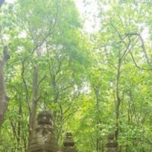 Fon Jantara profile icon