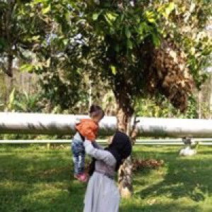 Desi Novitasari profile icon