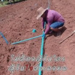 พัฒนกุล อุ่นแก้ว profile icon