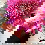 Ayu Sintia profile icon