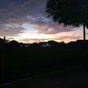 Kopi Senja profile icon