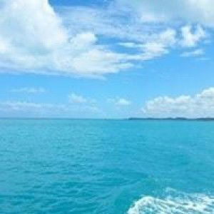 Peni P Ummu Utsman profile icon