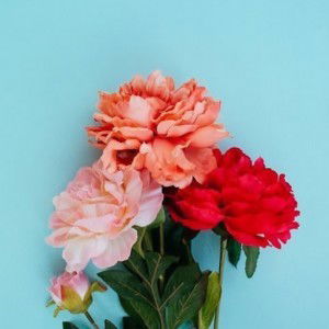 Nurul Siti Asyiah profile icon