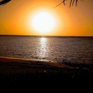 Jaynalyn Salamanca Sicat profile icon