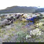 Nabila Judit Zara profile icon