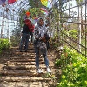 Sulviyana profile icon