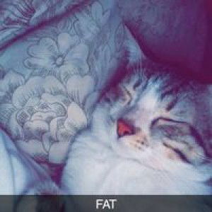 Jean Jean profile icon