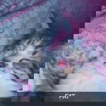 Jean Jean profile icon