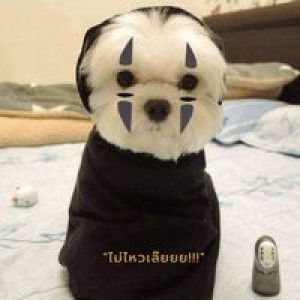 จิดาภา คนเที่ยง profile icon