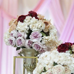 Nabilah Isa profile icon