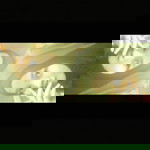 Ulfa Syifaunnisa profile icon