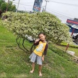 Munawaroh Munawaroh profile icon