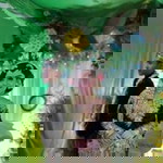 Neng Pitruk profile icon