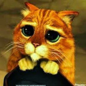 malcoms x profile icon