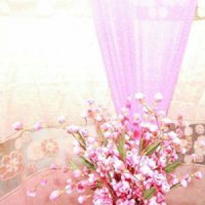 พิสมัย สยามพานิช profile icon