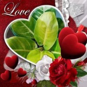 Lanie Alestre Berre profile icon