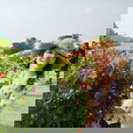 สุจิตรา ศรีพรมษา profile icon