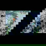 Anissa (bu kustiyah) profile icon