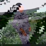 Aom Sirapatsorn profile icon