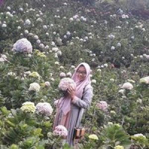 Arum Roikhatul Jannah profile icon