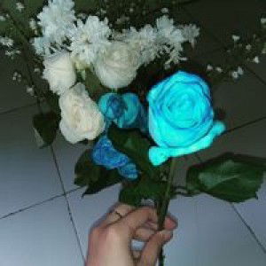 Eli Mahjati profile icon