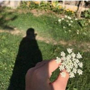 Rahmawati profile icon