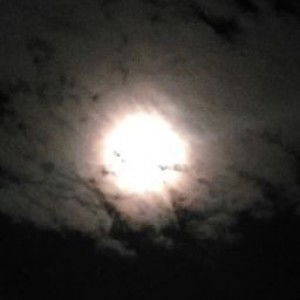 May Ann Dellica profile icon