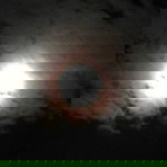 May Ann Dellica profile icon