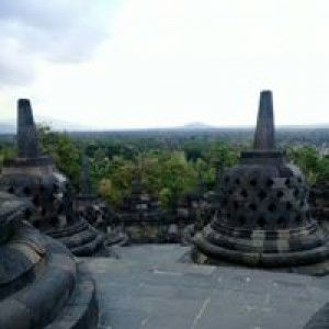 Josy Sanggah profile icon