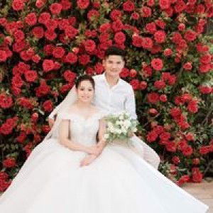 Pinocchio Pinocchio profile icon