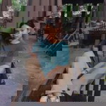 Nunta Pim profile icon