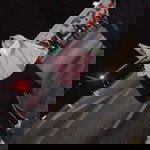 Lartiya LadeyRose profile icon