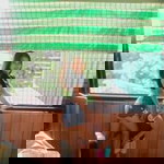 Yveth Balingit profile icon