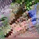 Cek Idahh profile icon