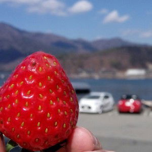 Pranita Damanik profile icon