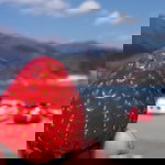 Pranita Damanik profile icon