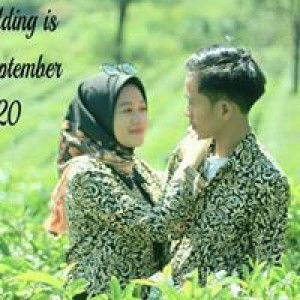 Dina Sofiani profile icon