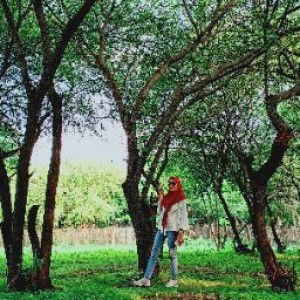 Mega yulia Putri profile icon