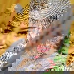 Whitry Alamsyah profile icon