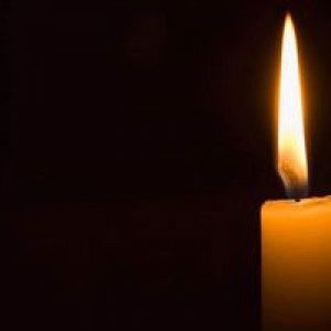 Gummy Bohotique profile icon