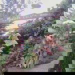 Arista J. Widjaja profile icon