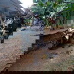 Billa Diana profile icon