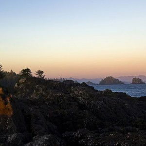 anatola Essya Angesti profile icon