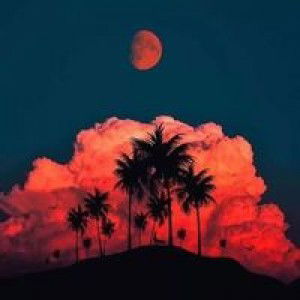 Fateemah Kadasae profile icon