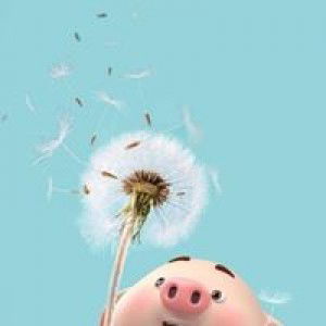 Su Kui Pap profile icon