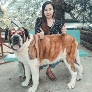 Jelica Castro profile icon